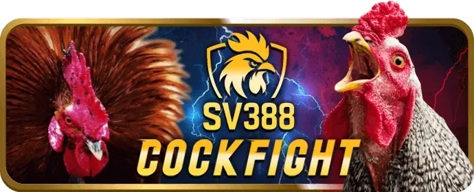 Cá cược bóng đá tại i9bet41